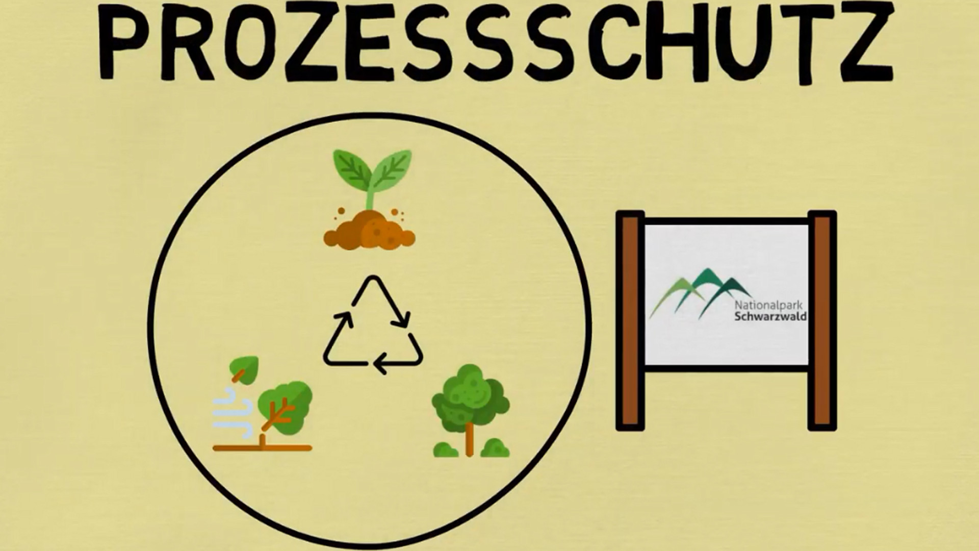 Erklärvideo: Was genau versteht man eigentlich unter dem Begriff "Prozessschutz"? © Florian Weckbecker (Nationalpark Schwarzwald)