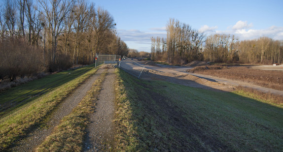 Der Rheindamm wird ertüchtigt. (Foto: Holger Tuttas Media)