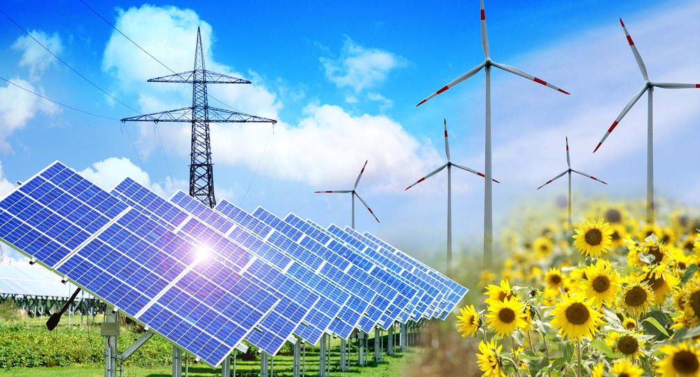 Open space photovoltaic system with a power pole and wind turbines in the background and sunflowers