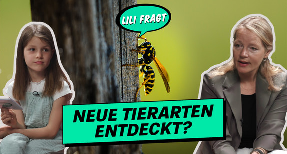 Kinderreporterin Lili fragt: Neue Tierarten entdeckt?