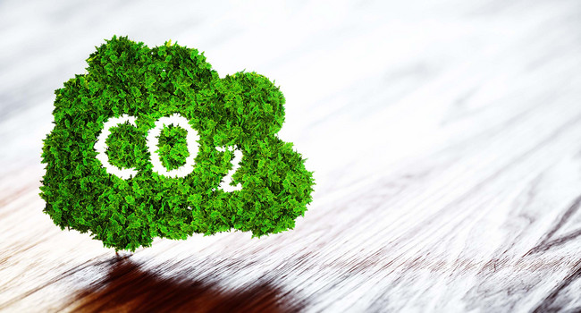 Kohlendioxid-Icon auf einer Wolke aus grünen Blättern']