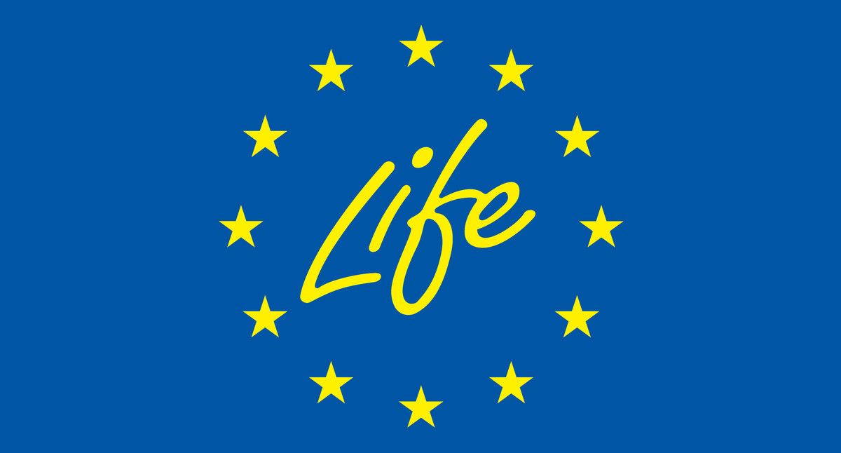 Life-Logo: Zwölf gelbe Sterne auf blauem Hintergrund umrunden das Wort Life
