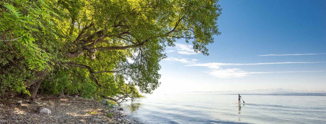 Bodensee zwischen Meersburg und Hagnau