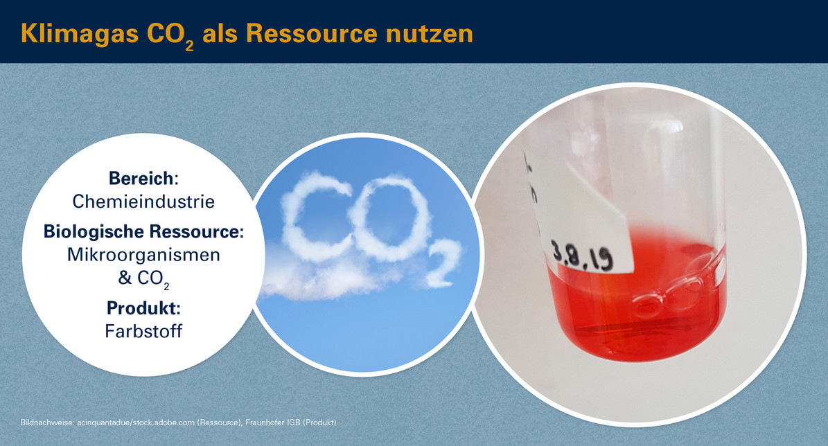 Klimagas CO2 als Rohstoff nutzen