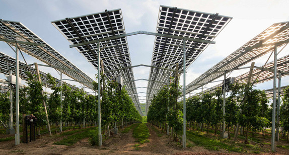 Agri-PV-Anlage Kressbronn Seitenaufnahmen