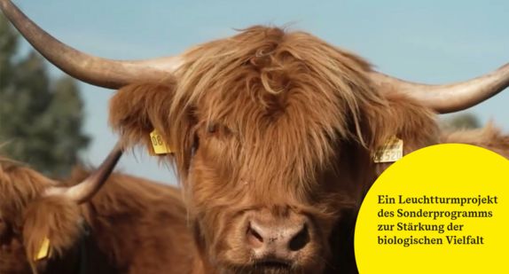 Projekt Auendynamiken nachahmen, Rohbodenstandorte schaffen