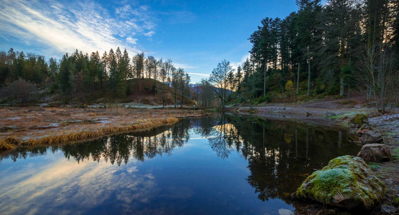 Nonnenmattweiher im Schwarzwald