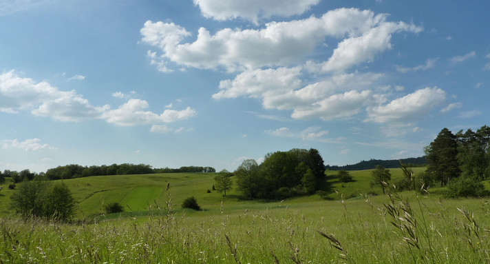 NSG Wacholderberg-Geigerswasen Crailsheim