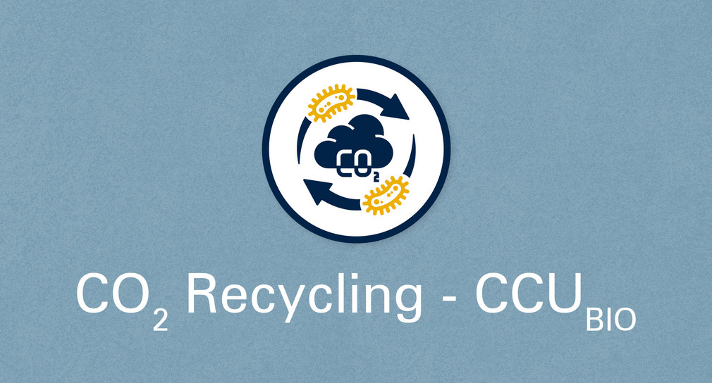 Bioökonomie: Illustration zu CO2-Recycling-CCUBIO