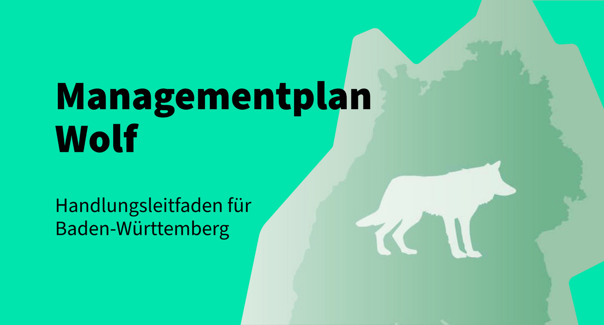 Managementplan Wolf (Handlungsleitfaden für BW)