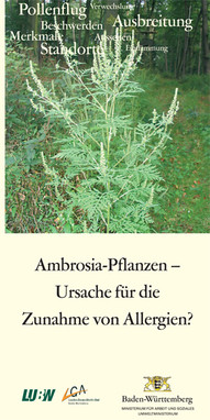 Titelblatt des Faltblatts Ambrosia-Pflanzen - Ursache für die Zunahme von Allergien?