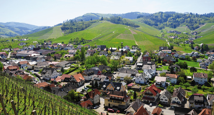 Ortsansicht von Durbach an der badischen Weinstraße