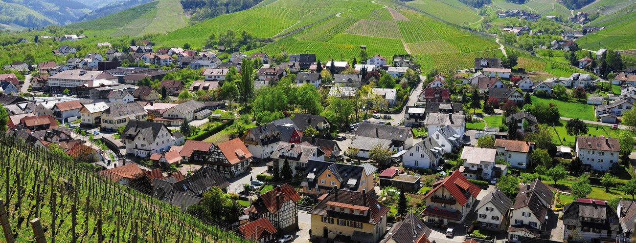 Ortsansicht von Durbach an der badischen Weinstraße