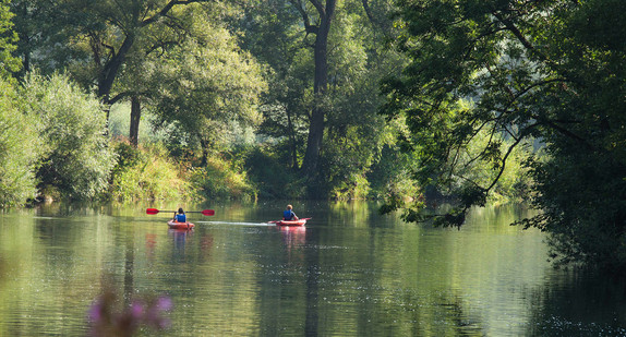 Kanufahrer auf dem Neckar zwischen Oferdingen und Altenburg