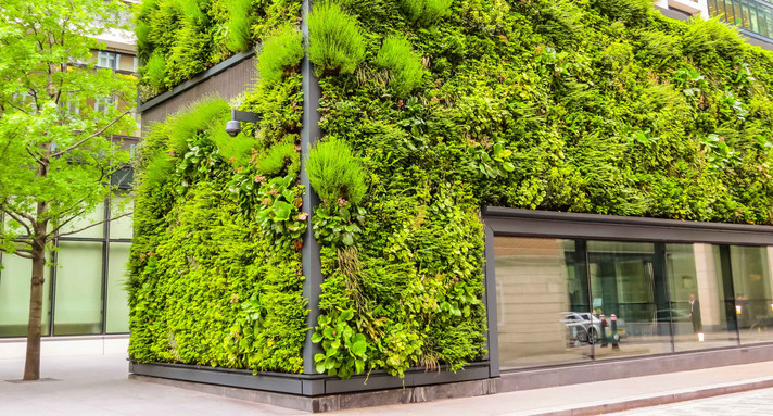 Ecological architecture, green living facade of the building