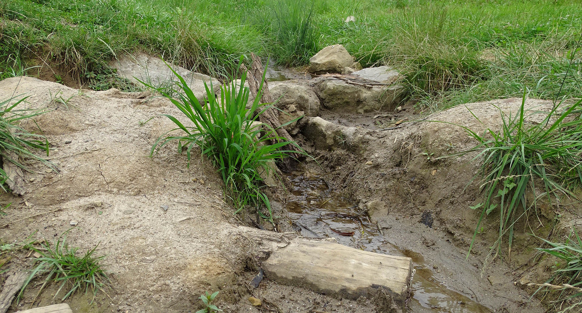 Der Naturerlebnisraum „Am Bächle“ in Vaihingen/Enz war eines der ersten Projekte der Lokalen Agenda 21 in Vaihingen an der Enz. 