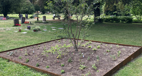 Der BUND Baden-Württemberg hat mit Unterstützung der Stiftung Naturschutzfonds Baden-Württemberg wertvolle Flächen für Wildbienen und Schmetterlinge auf dem Hauptfriedhof in Stuttgart-Bad Cannstatt geschaffen.