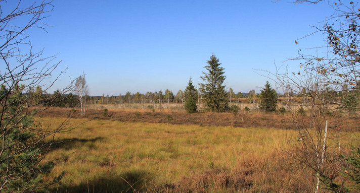 Naturschutzgebiet „Wurzacher Ried“