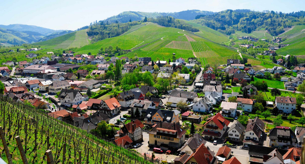 Ortsansicht von Durbach an der badischen Weinstraße