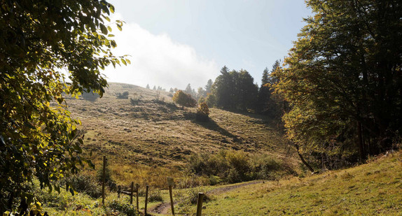 Ibach im Hotzenwald Baden-Württemberg