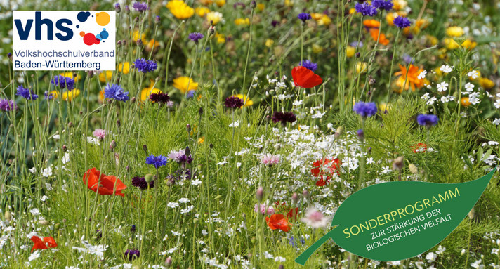 Blumenwiese mit Logos Sonderprogramm zur Stärkung der Biologischen Vielfalt der VHS Baden-Württemberg