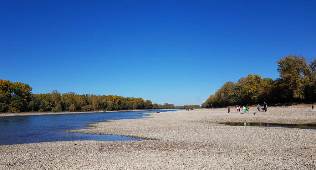 Rhein bei Niedrigwasser mit ausgedehnten Kiesflächen auf denen Menschen spazieren gehen