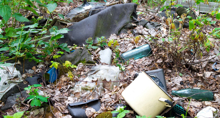 Müll wurde in der Natur entsorgt