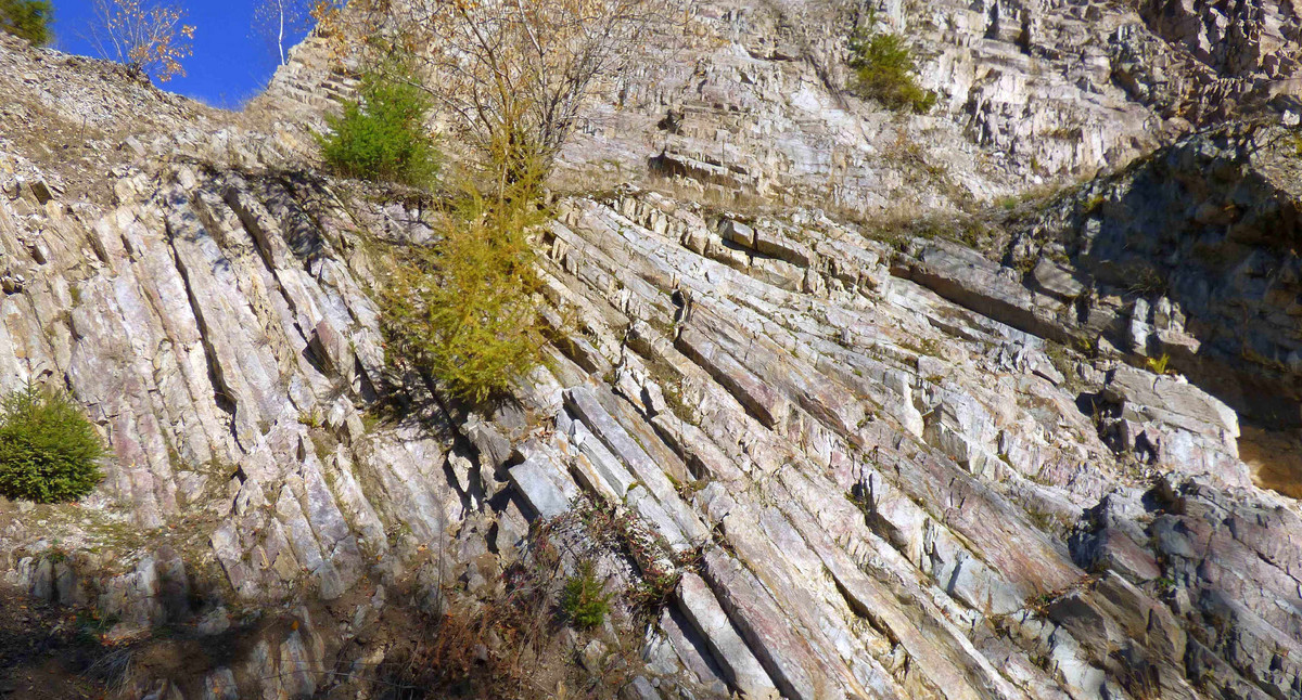 Säulig absondernder Quarzpörophyr im Steinbruch Ottenhöfen im Schwarzwald (Edelfraugrab, RG 7415-3) - westlicher Rand des Nordschwarzwaldes