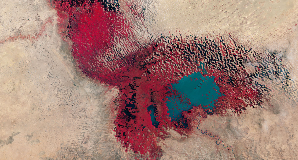 Satellitenaufnahme des Tschadsees von 2017