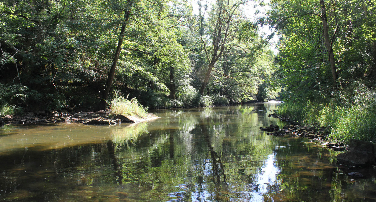 Jagst bei Wollmershausen