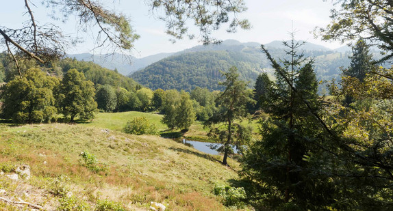 Kleiner Rundwanderweg in Schönau im Schwarzwald