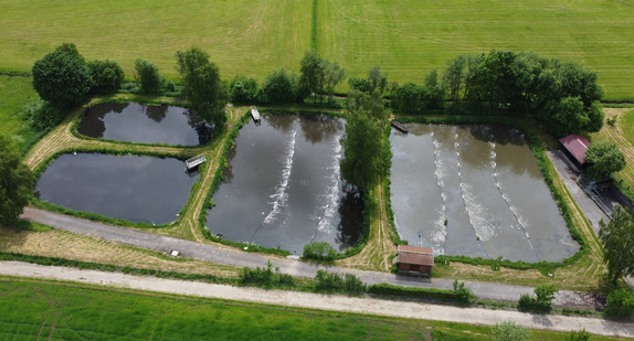 Teichkläranlage Wüstenau