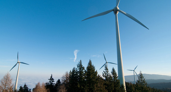 Windkräder mit Baumwipfeln