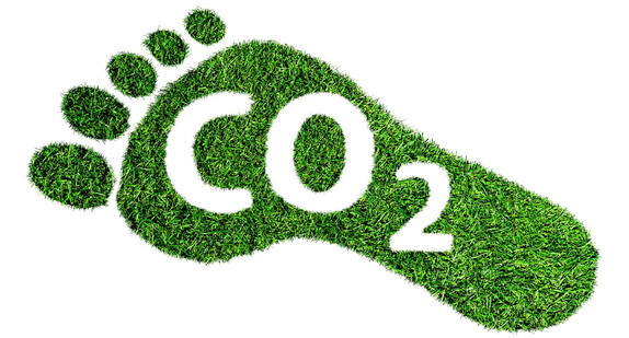 Fussabdruck aus Gras mit CO2-Symbol