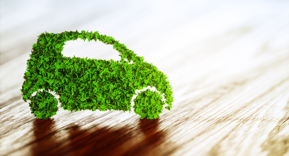 Emissionsfreien Mobilität: Kleines Auto aus Gras