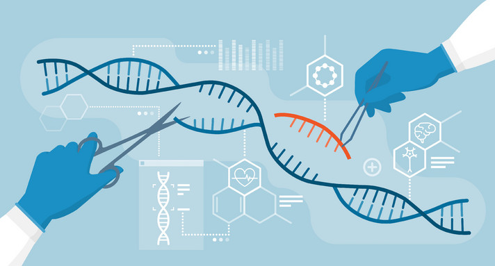 DNA und Genom-Editierung