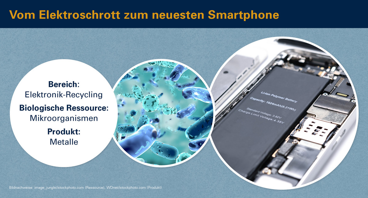 Vom Elektroschrott zum neuesten Smartphone: Mit Mikroorganismen seltene Metalle zurückgewinnen