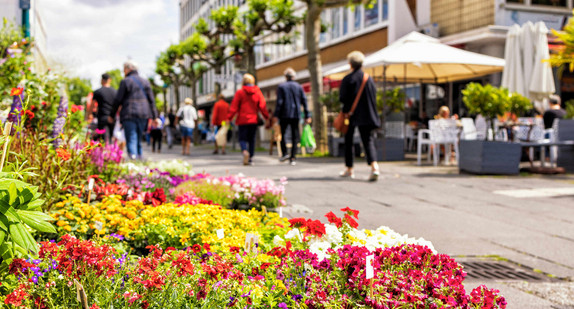 Blumen in einer Fußgängerzone