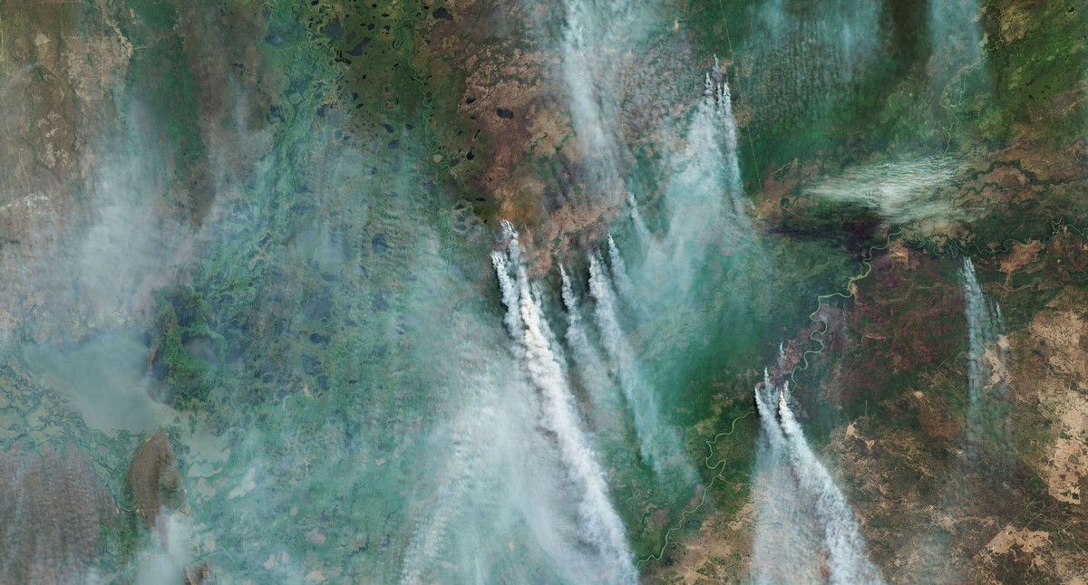 Satellitenbild von Bränden im brasilianischen Regenwald