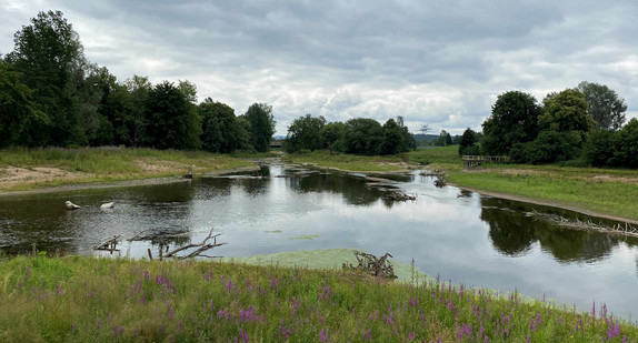 naturnahe Umgestaltung am Donauursprung