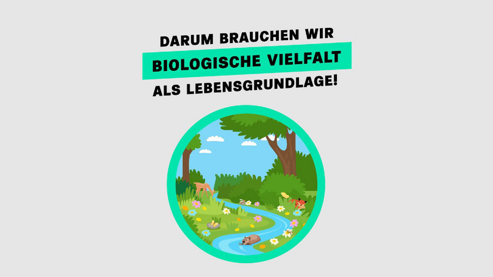 Startbild des Clips Darum brauchen wir biologische Vielfalt als Lebensgrundlage!