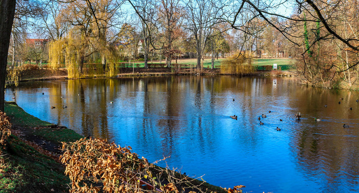 Schachtsee in Bad Friedrichshall