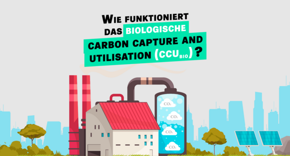 Startbild des Erklärclip Wie funktioniert das biologische Carbon Capture and Utilisation (CCUBio)?