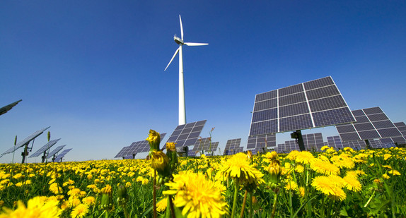 Photovoltaik und Windkraftanlage mit Löwenzahn im Vordergrund