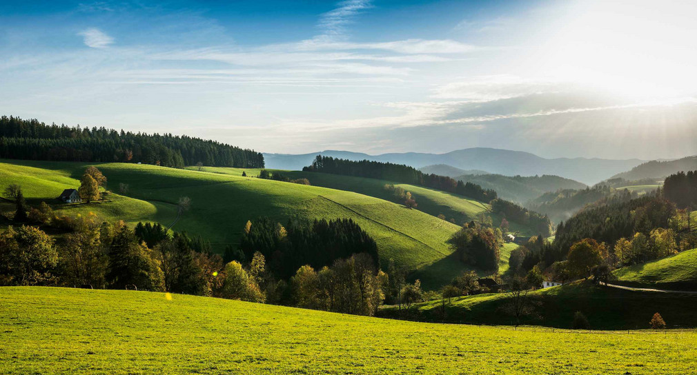 bewaldete Landschaft Sankt Margen im Schwarzwald