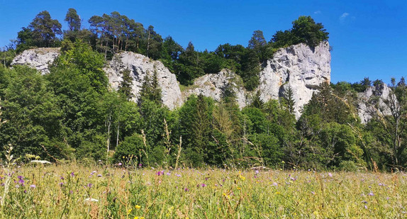 Das Donautal im Sommer