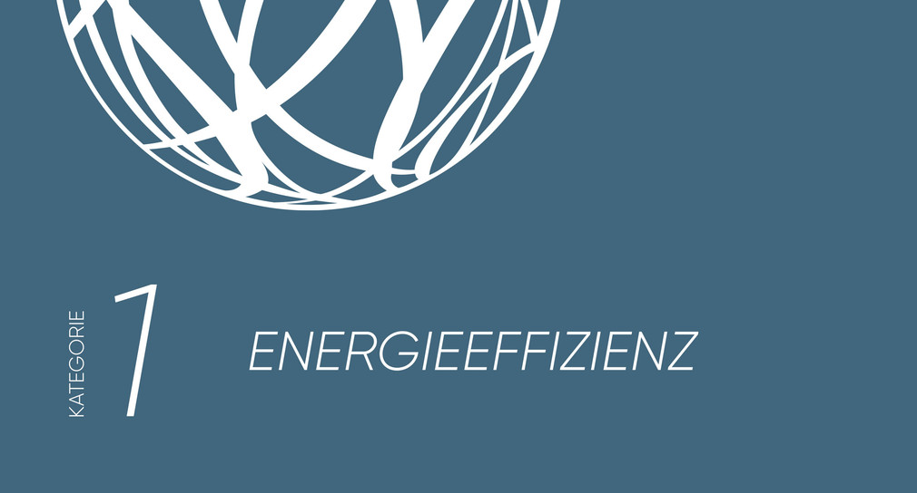 Umwelttechnikpreis Baden-Württemberg: Kategorie Energieeffizienz