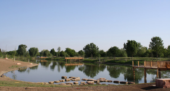 Fischkinderstube Gemeinde Edingen-Neckarhausen: Blick vom Südufer (Foto: Gemeinde Edingen-Neckarhausen)