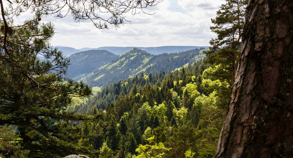 Nationalpark Schwarzwald