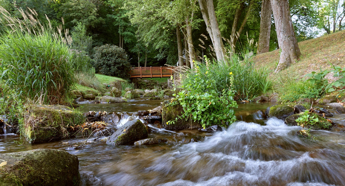 Fluss Alb bei Karlsruhe